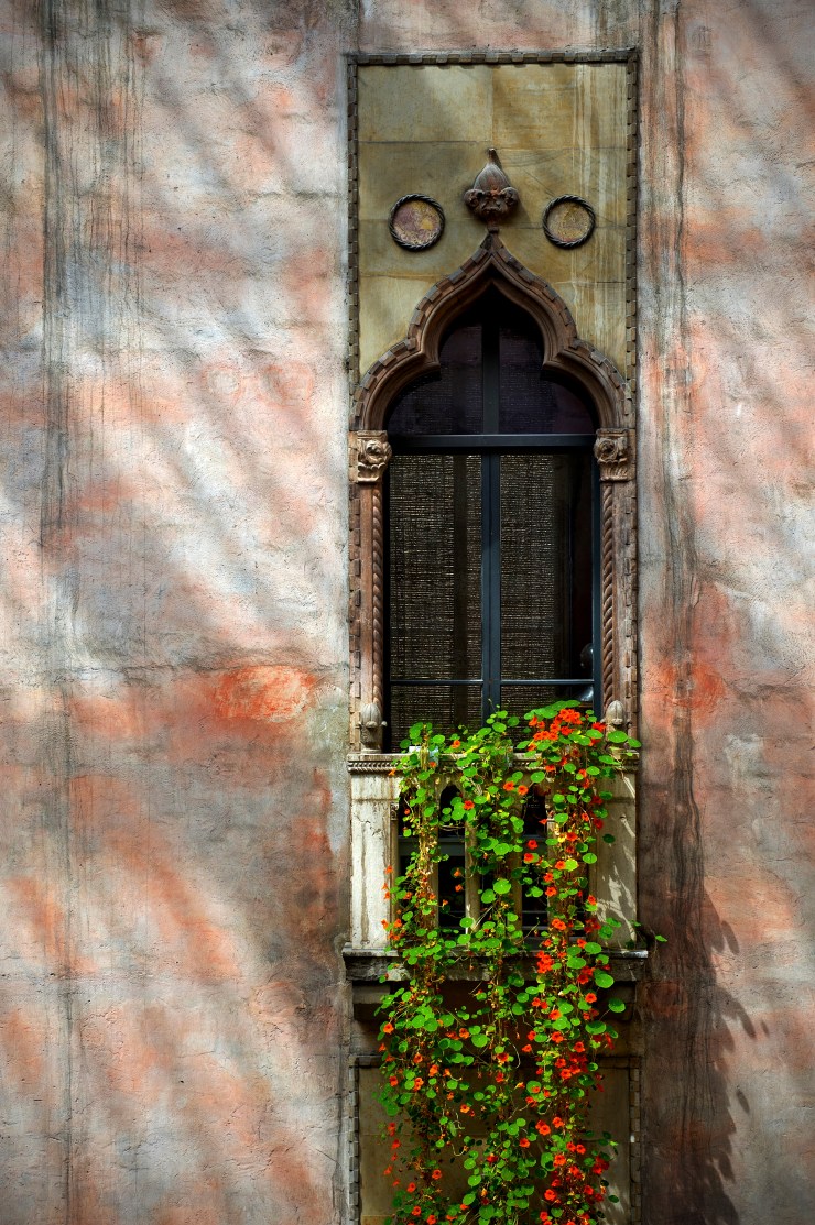 _IGP4202_nasturgium window box_print